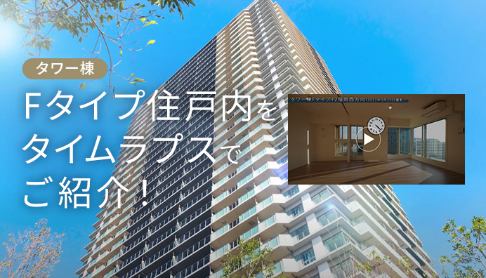 Fタイプタイムラプス